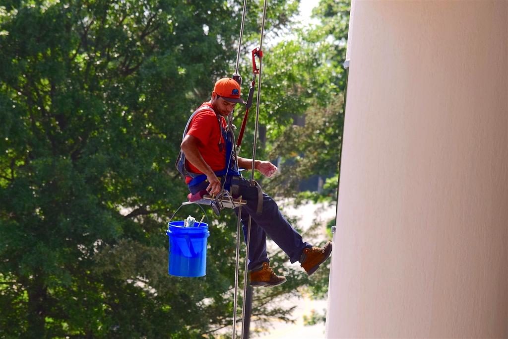 Biologiczny procesor do analizy czystości środowiska